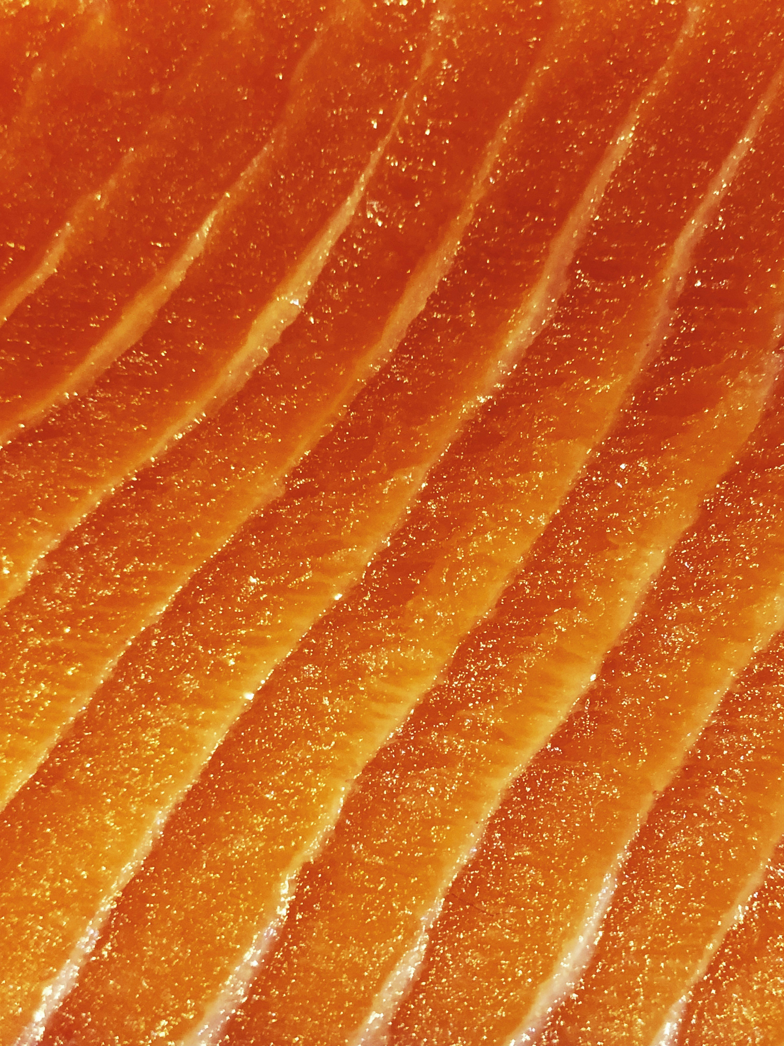 Salmon